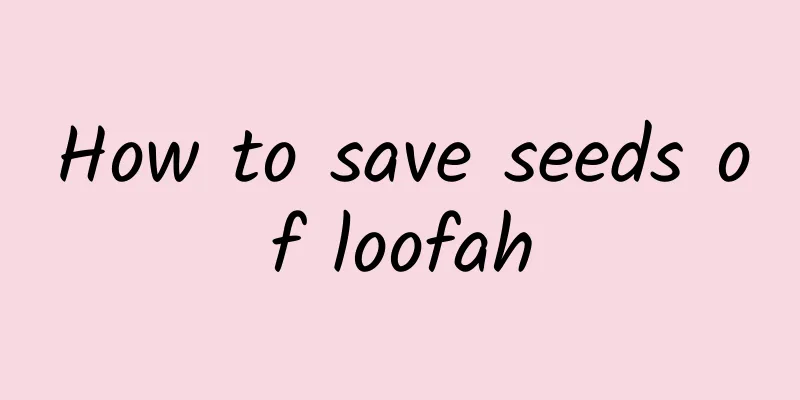 How to save seeds of loofah