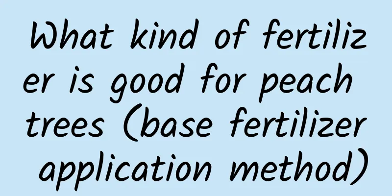 What kind of fertilizer is good for peach trees (base fertilizer application method)