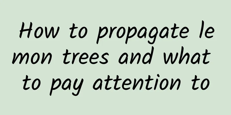 How to propagate lemon trees and what to pay attention to