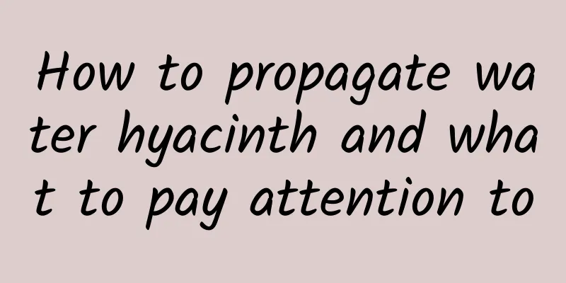 How to propagate water hyacinth and what to pay attention to