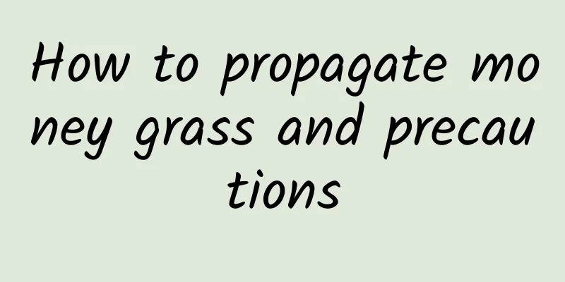 How to propagate money grass and precautions