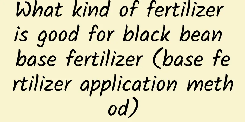 What kind of fertilizer is good for black bean base fertilizer (base fertilizer application method)