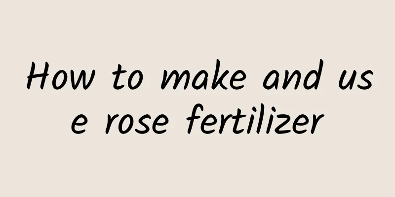 How to make and use rose fertilizer