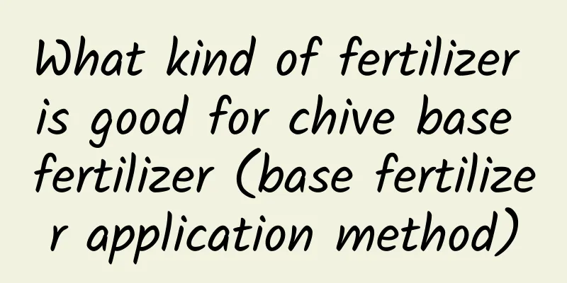 What kind of fertilizer is good for chive base fertilizer (base fertilizer application method)