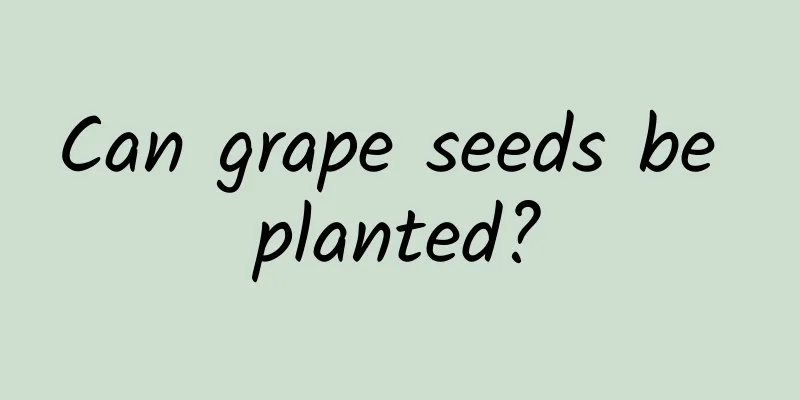 Can grape seeds be planted?