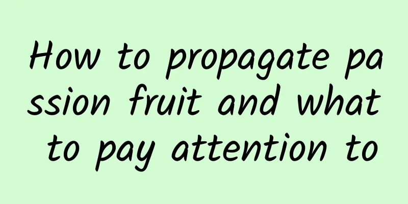 How to propagate passion fruit and what to pay attention to