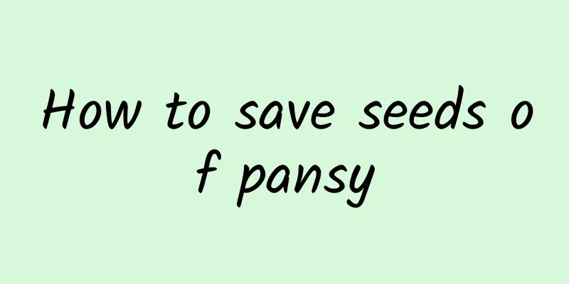 How to save seeds of pansy