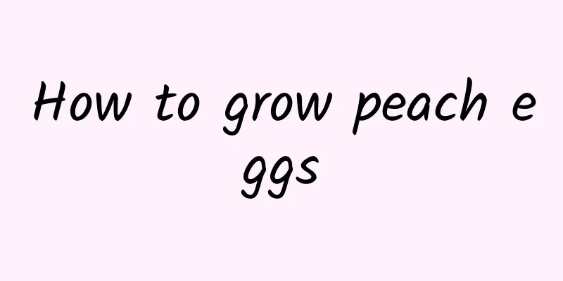 How to grow peach eggs
