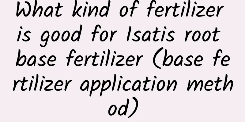 What kind of fertilizer is good for Isatis root base fertilizer (base fertilizer application method)