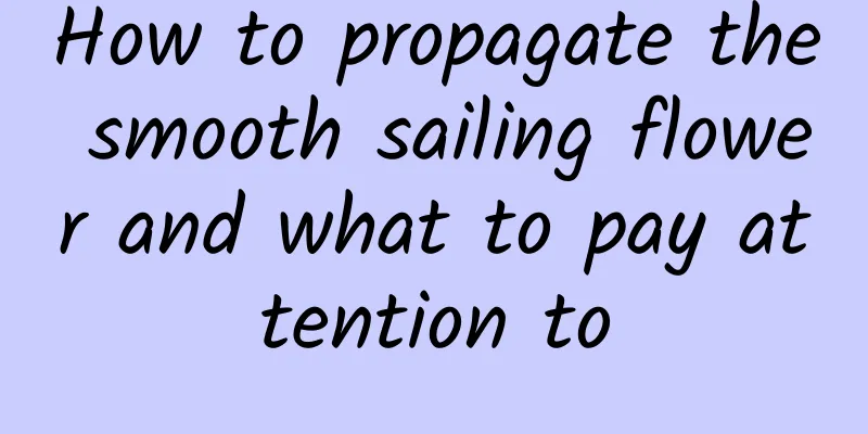 How to propagate the smooth sailing flower and what to pay attention to