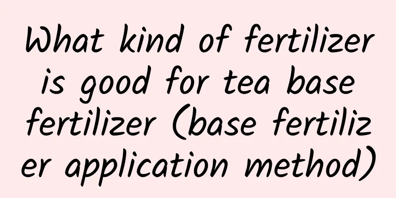 What kind of fertilizer is good for tea base fertilizer (base fertilizer application method)