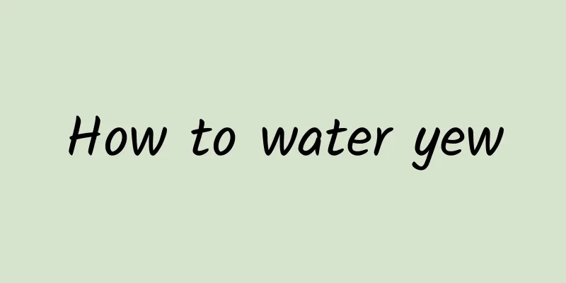 How to water yew