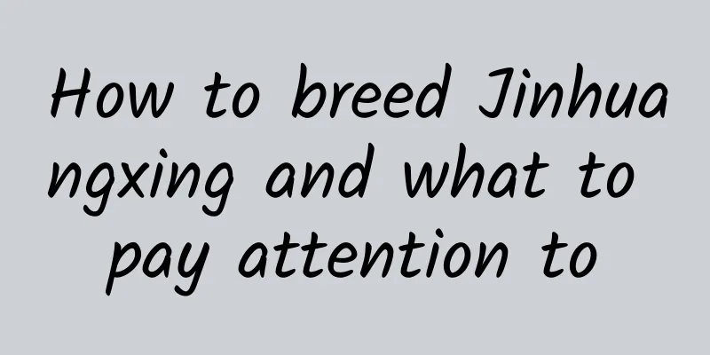 How to breed Jinhuangxing and what to pay attention to