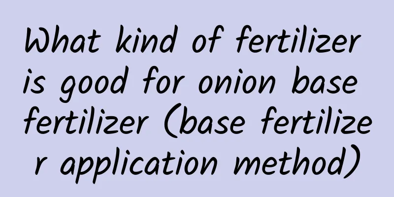 What kind of fertilizer is good for onion base fertilizer (base fertilizer application method)