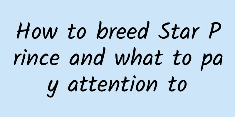 How to breed Star Prince and what to pay attention to