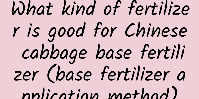 What kind of fertilizer is good for Chinese cabbage base fertilizer (base fertilizer application method)