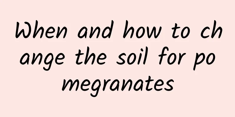 When and how to change the soil for pomegranates
