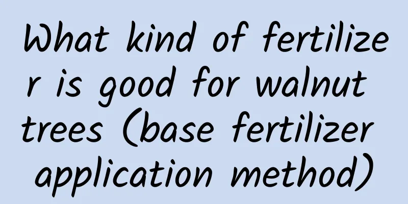 What kind of fertilizer is good for walnut trees (base fertilizer application method)