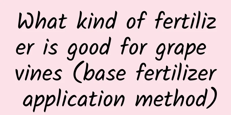 What kind of fertilizer is good for grape vines (base fertilizer application method)