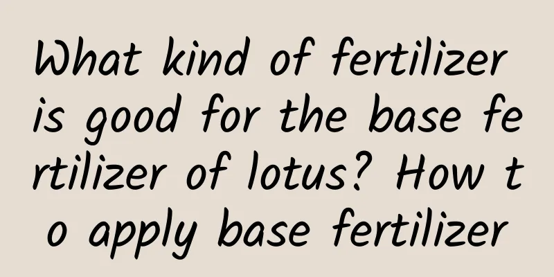 What kind of fertilizer is good for the base fertilizer of lotus? How to apply base fertilizer