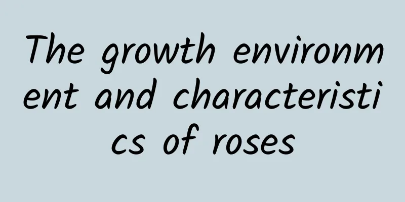 The growth environment and characteristics of roses