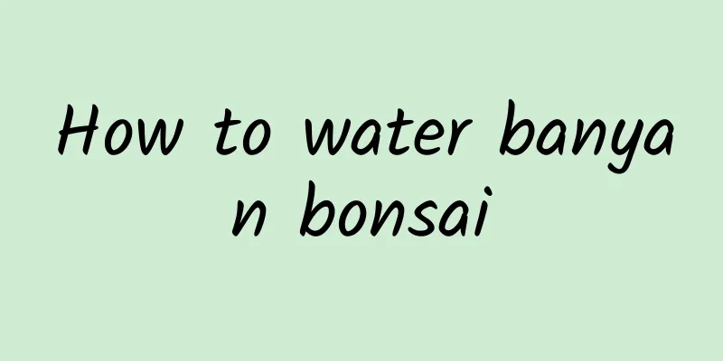 How to water banyan bonsai