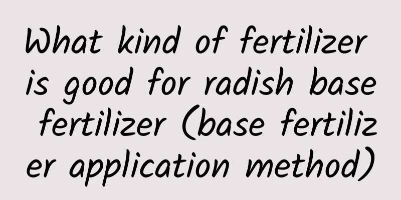 What kind of fertilizer is good for radish base fertilizer (base fertilizer application method)