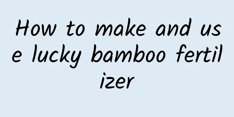 How to make and use lucky bamboo fertilizer