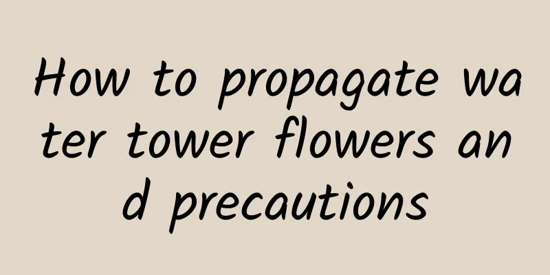 How to propagate water tower flowers and precautions