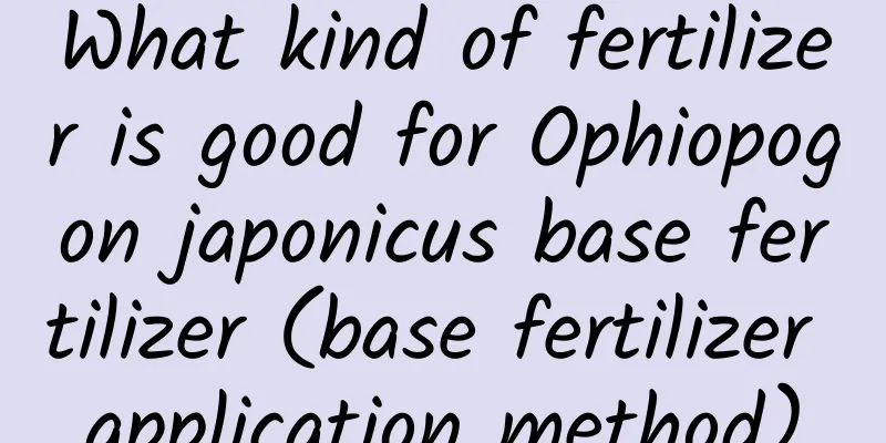 What kind of fertilizer is good for Ophiopogon japonicus base fertilizer (base fertilizer application method)