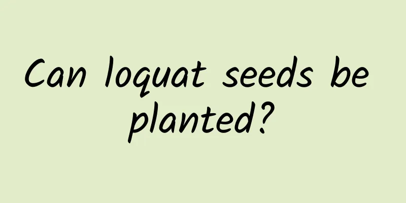 Can loquat seeds be planted?