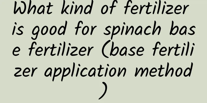 What kind of fertilizer is good for spinach base fertilizer (base fertilizer application method)