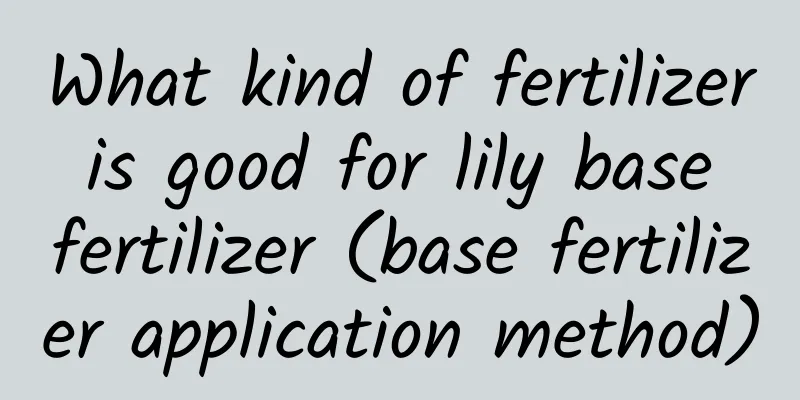 What kind of fertilizer is good for lily base fertilizer (base fertilizer application method)
