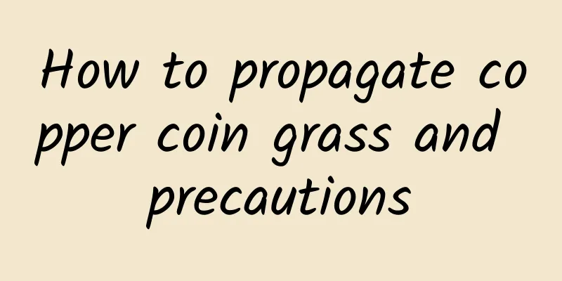 How to propagate copper coin grass and precautions