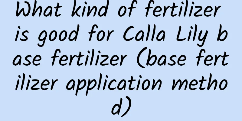 What kind of fertilizer is good for Calla Lily base fertilizer (base fertilizer application method)