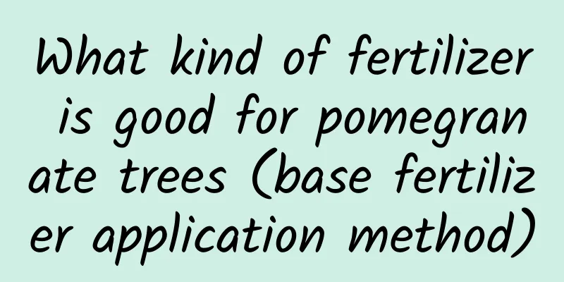 What kind of fertilizer is good for pomegranate trees (base fertilizer application method)