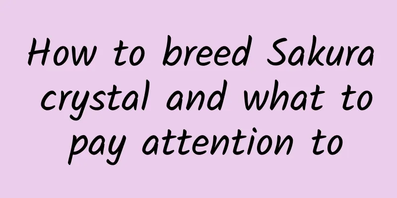 How to breed Sakura crystal and what to pay attention to