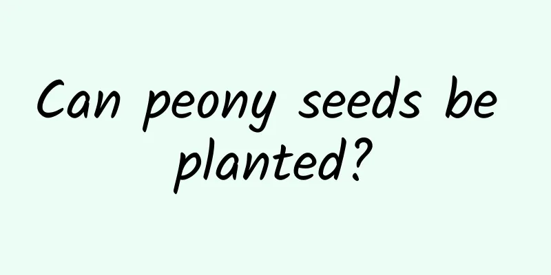 Can peony seeds be planted?