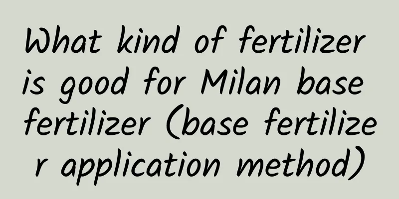 What kind of fertilizer is good for Milan base fertilizer (base fertilizer application method)