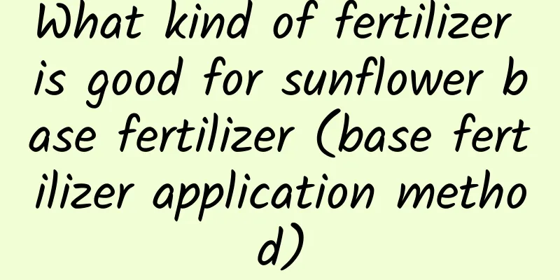 What kind of fertilizer is good for sunflower base fertilizer (base fertilizer application method)
