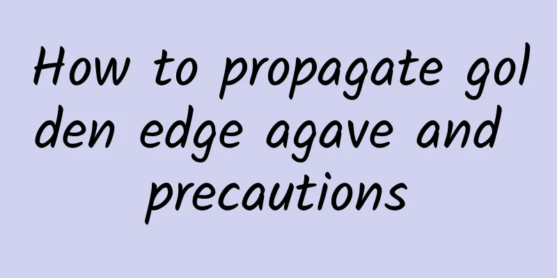 How to propagate golden edge agave and precautions