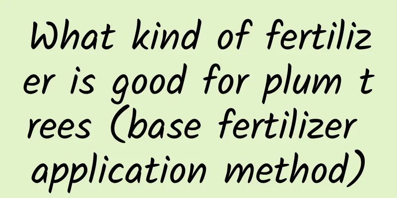 What kind of fertilizer is good for plum trees (base fertilizer application method)