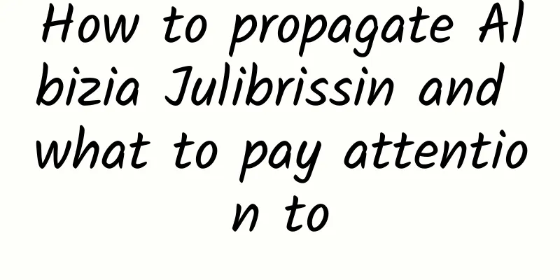 How to propagate Albizia Julibrissin and what to pay attention to