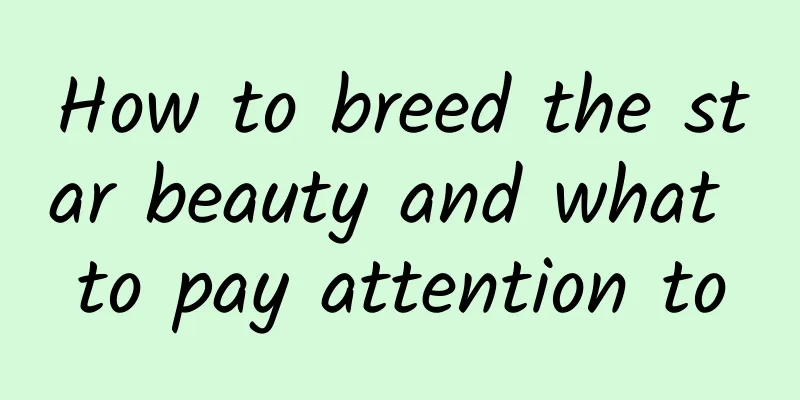 How to breed the star beauty and what to pay attention to