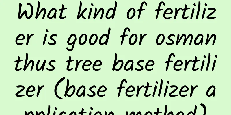 What kind of fertilizer is good for osmanthus tree base fertilizer (base fertilizer application method)