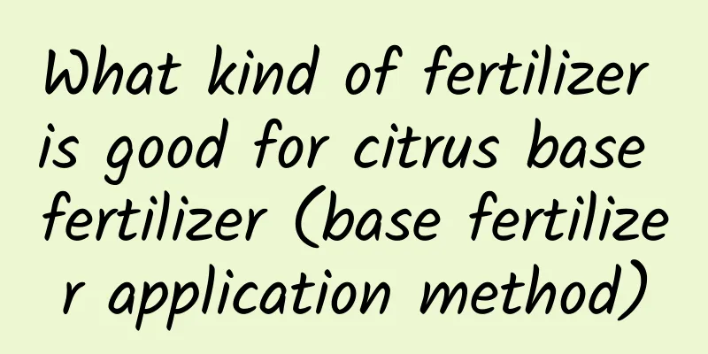 What kind of fertilizer is good for citrus base fertilizer (base fertilizer application method)