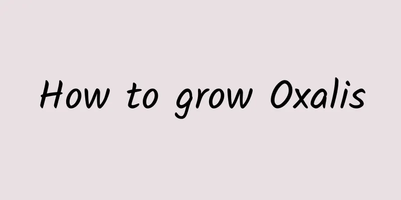 How to grow Oxalis