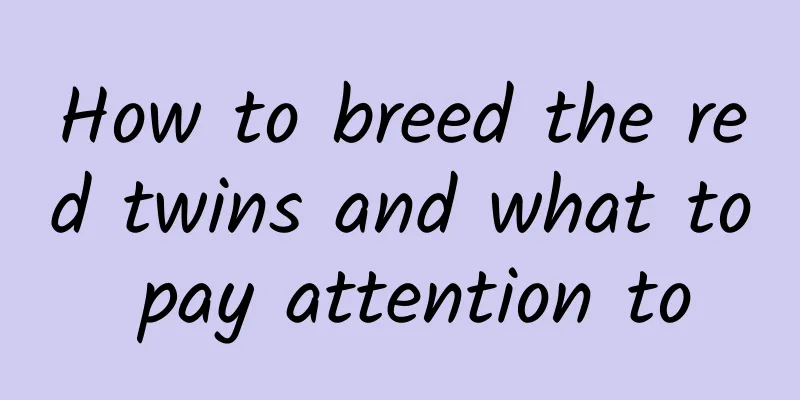 How to breed the red twins and what to pay attention to