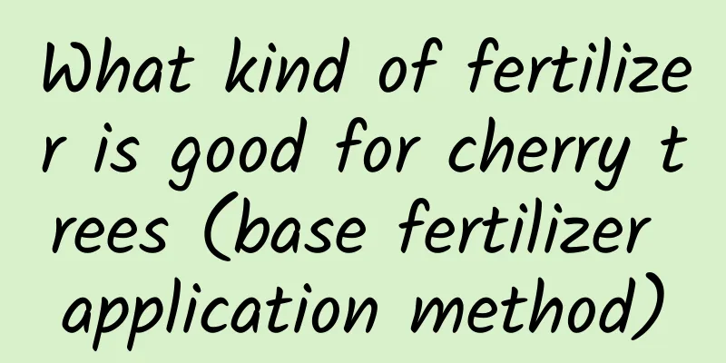 What kind of fertilizer is good for cherry trees (base fertilizer application method)