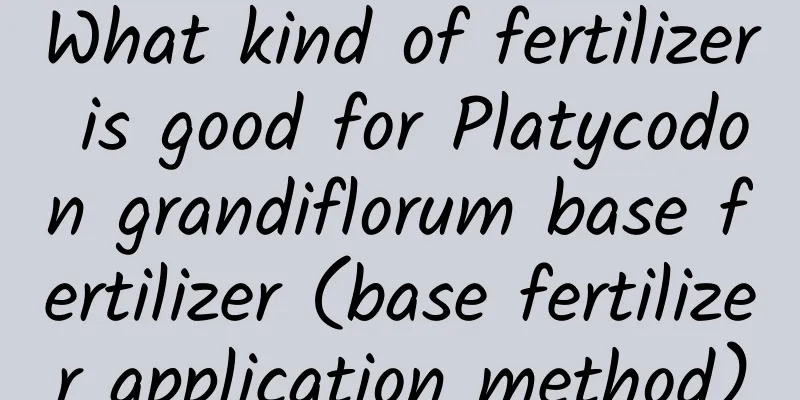 What kind of fertilizer is good for Platycodon grandiflorum base fertilizer (base fertilizer application method)